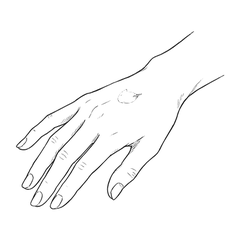 手の甲のイラスト